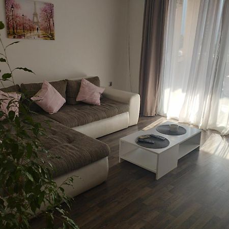 Pocanic'S Apartment 科托尔 外观 照片