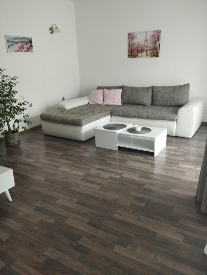 Pocanic'S Apartment 科托尔 外观 照片