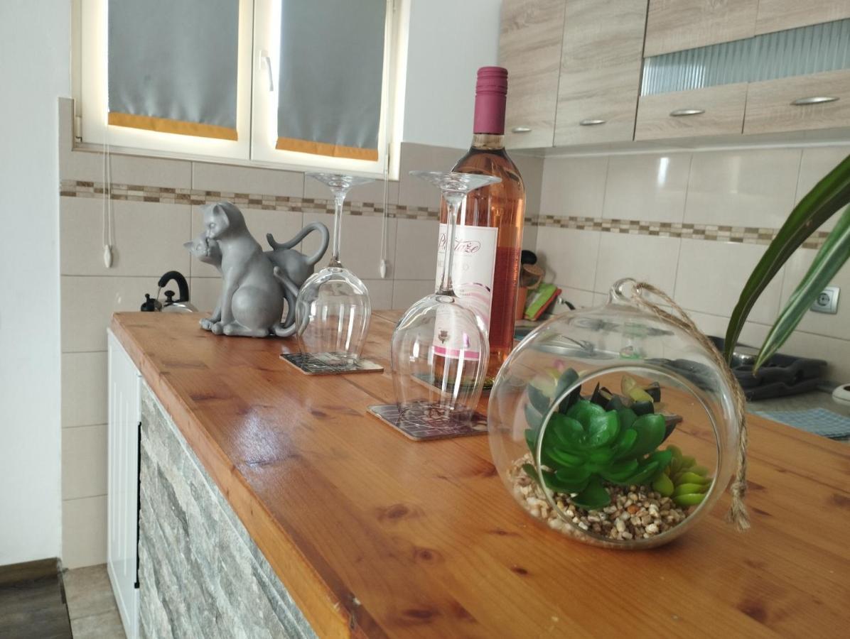 Pocanic'S Apartment 科托尔 外观 照片