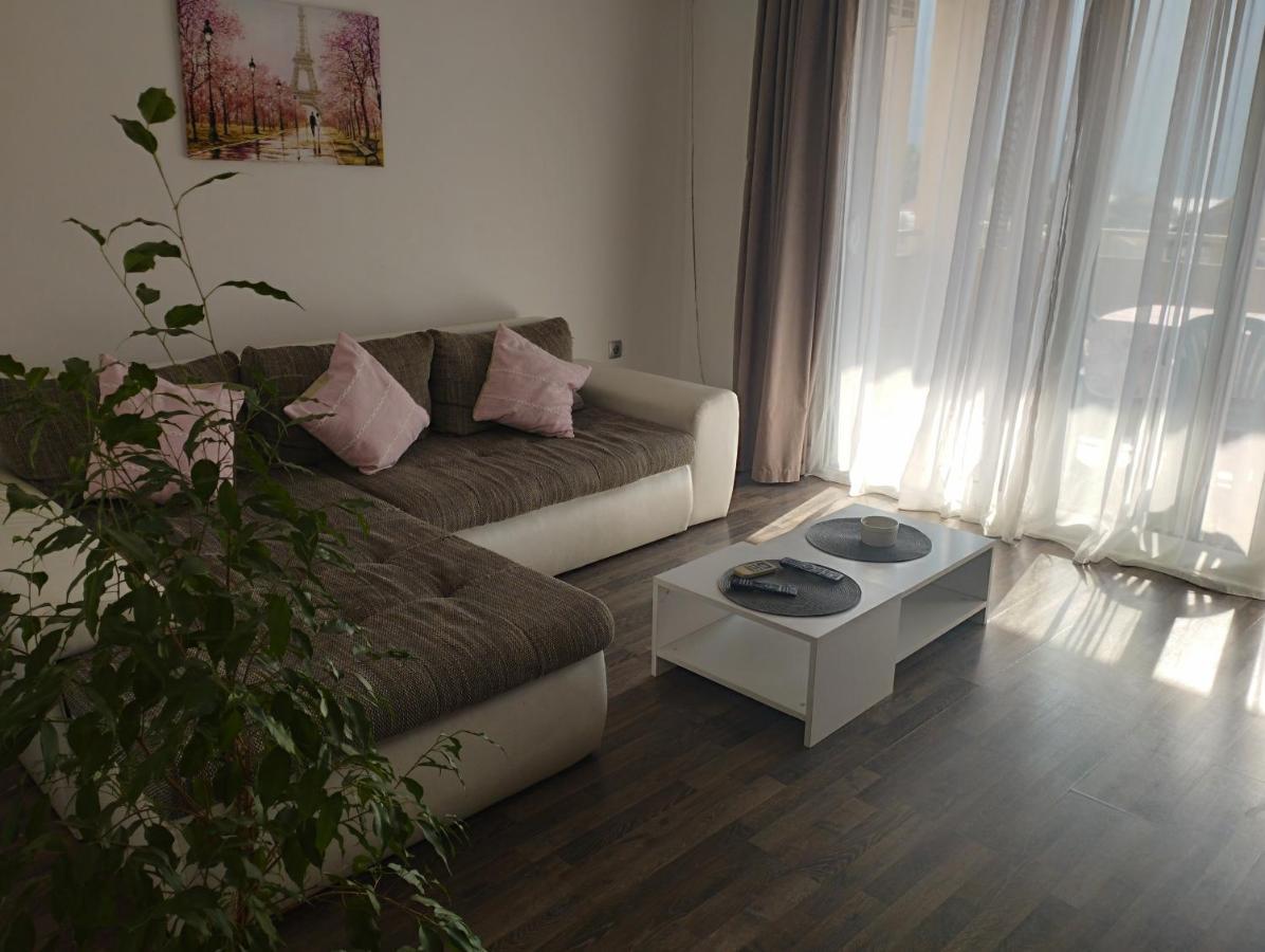 Pocanic'S Apartment 科托尔 外观 照片